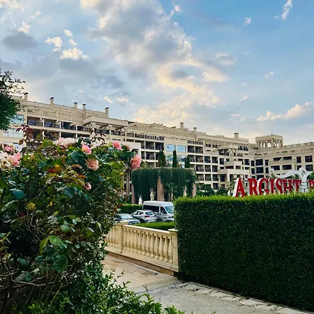 Argisht Palm - *