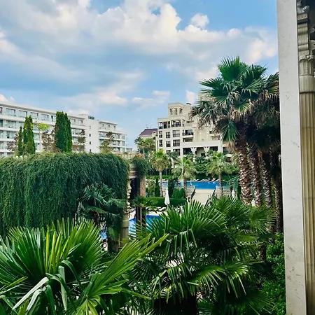 Argisht Palm -